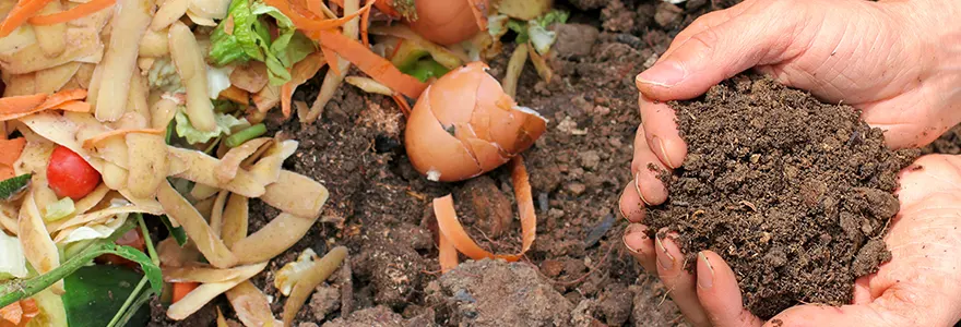 les indispensables du compostage organique pour nourrir votre jardin