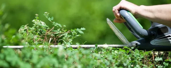 meilleurs taille-haies pour entretenir facilement votre haie